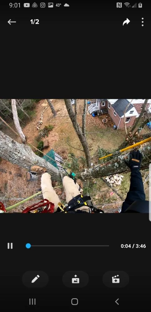 Top-rated yard maintenance in Oakham, MA - Redemption Tree & Landscape