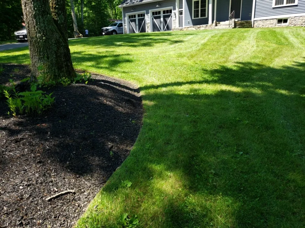 Reliable yard cleanup service for year-round maintenance across Oakham, MA - Redemption Tree & Landscape