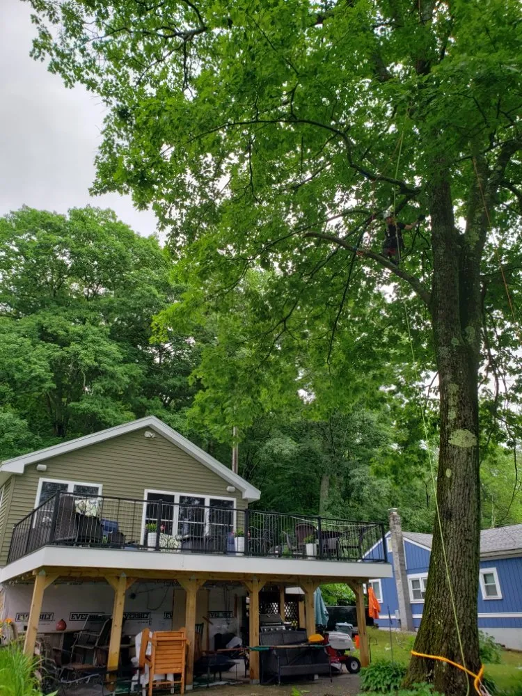 Top-rated residential landscaping in Oakham, MA by Redemption Tree & Landscape