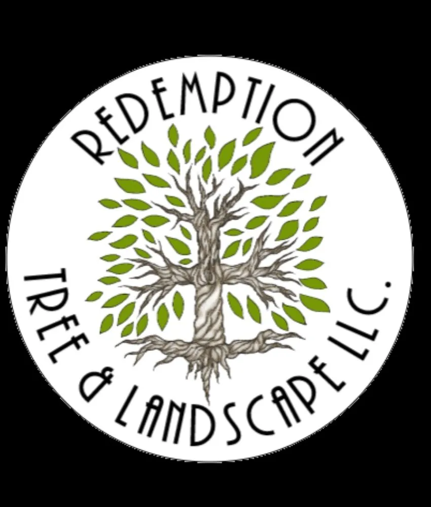 Top-rated yard cleanup service for outdoor upgrades in Oakham, MA by Redemption Tree & Landscape