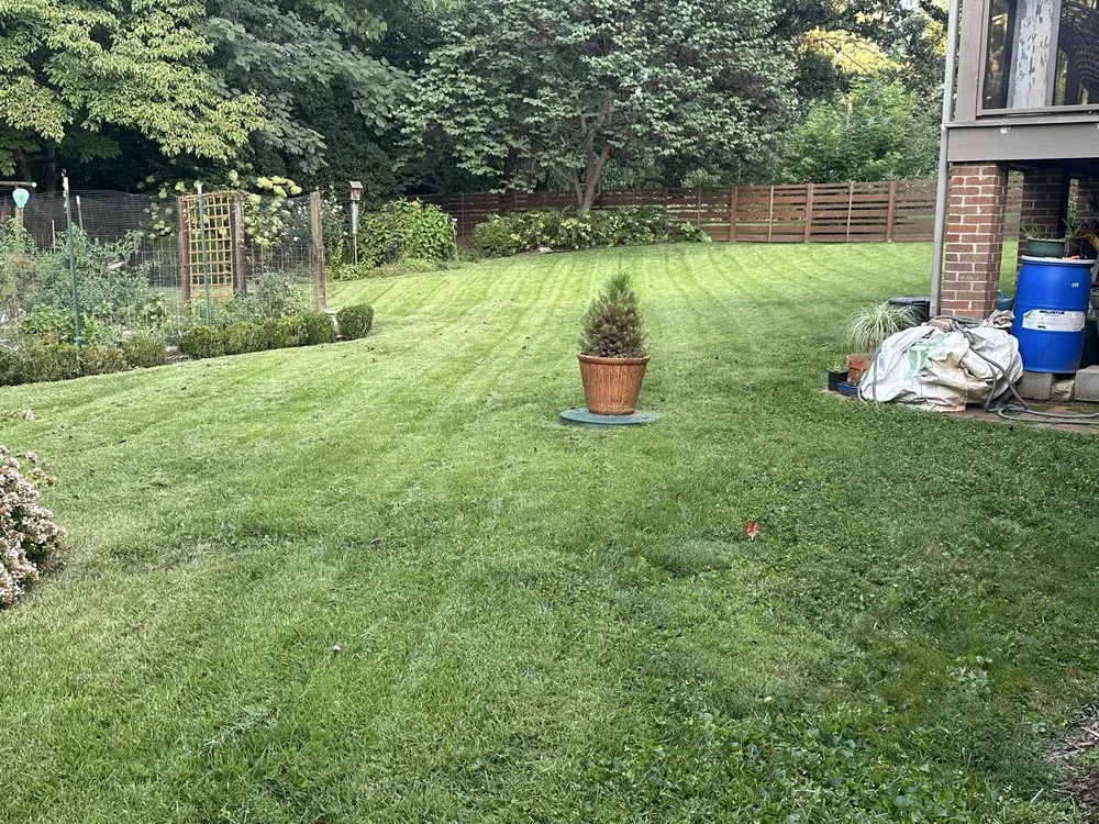 Professional landscape design for beautiful yards in Charlottesville, VA by Redford’s Lawn Care and Services
