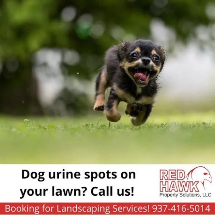 Top-rated lawn care service in Mason, OH by RedHawk Property Solutions