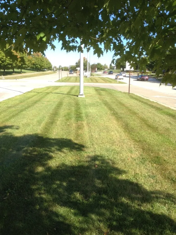 Trusted yard cleanup service for residential properties in Waterford, MI by Redigan Outdoor Services