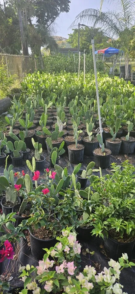 Expert landscape installation experts serving Redland, FL - Redlands Best Lawn Service