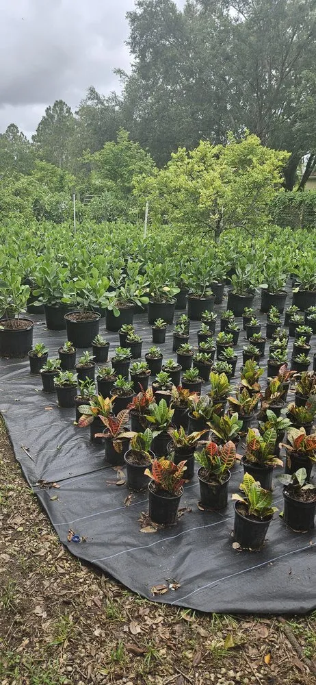 Local yard cleanup service for beautiful yards across Redland, FL - Redlands Best Lawn Service