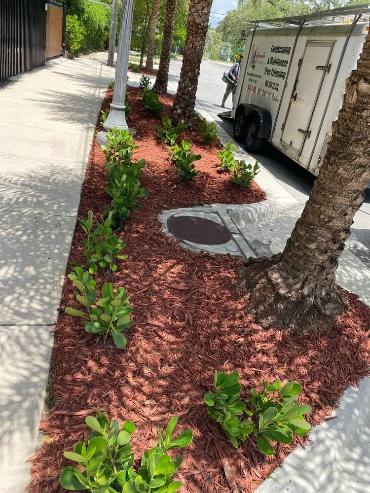 Professional residential landscaping for residential properties in Redland, FL by Redlands Best Lawn Service