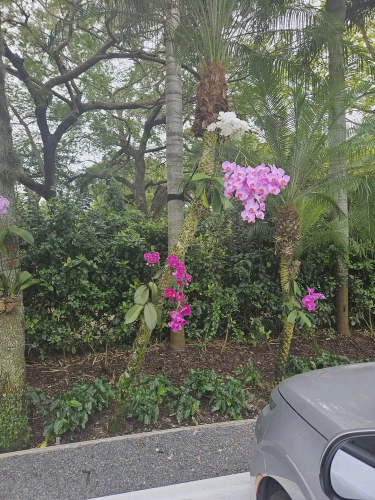 Local garden landscaping for year-round maintenance in Redland, FL by Redlands Best Lawn Service