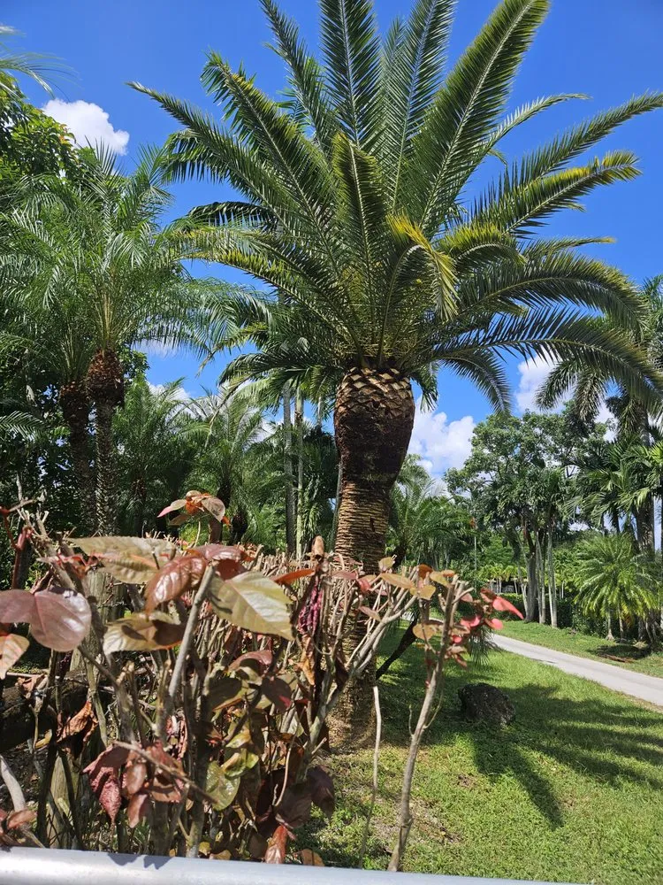Professional lawn care service in Redland, FL - Redlands Best Lawn Service