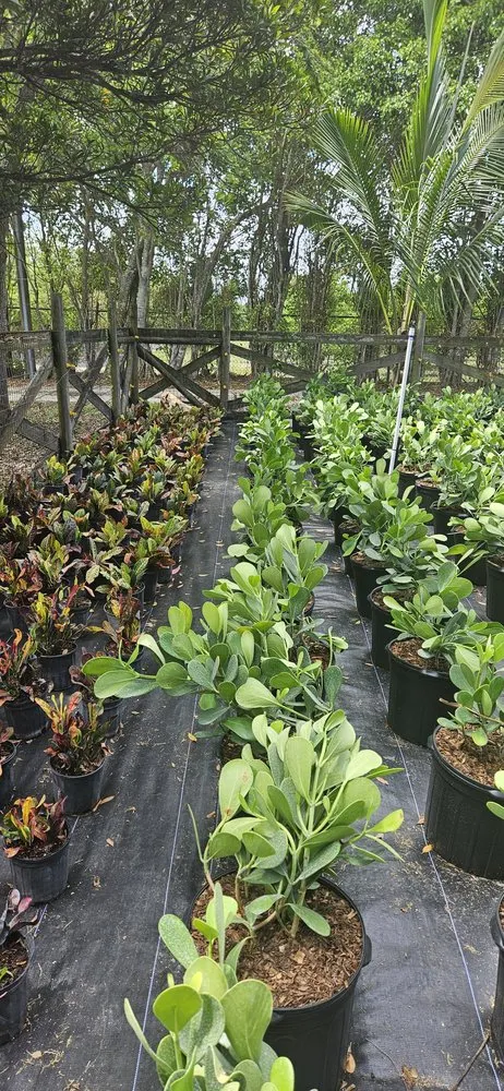 Professional landscape installation for beautiful yards in Redland, FL by Redlands Best Lawn Service