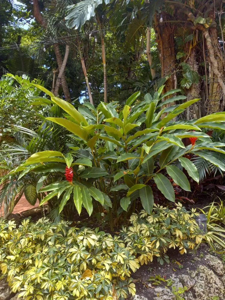 Custom residential landscaping in Redland, FL by Redlands Best Lawn Service