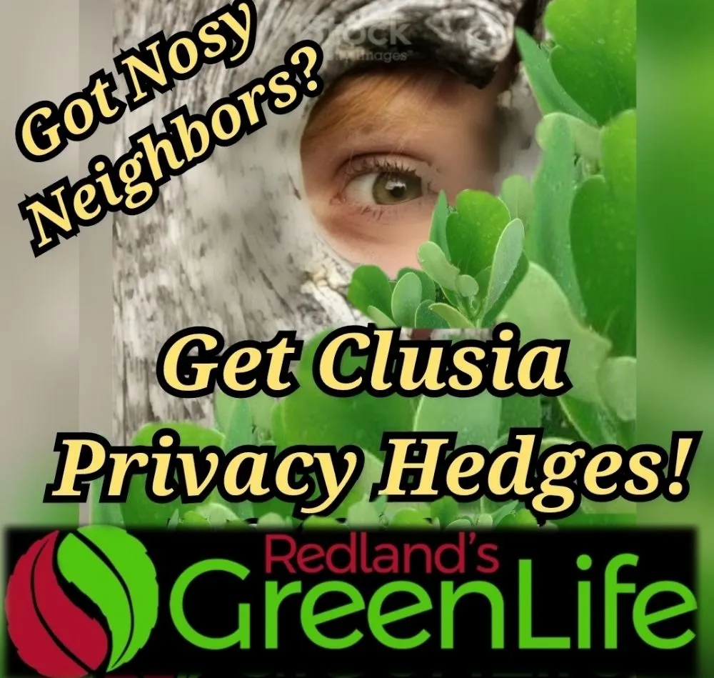 Reliable lawn mowing service near you across Miami, FL - Redland's GreenLife