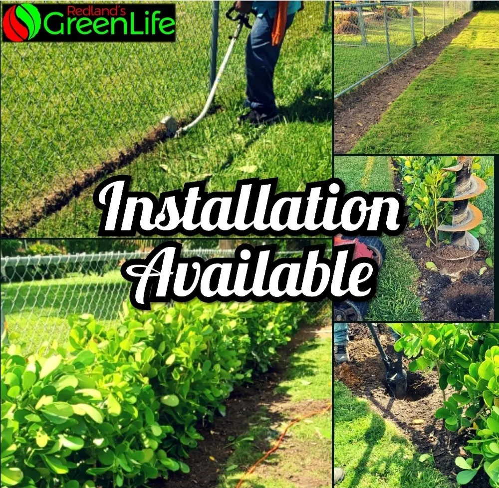 Professional yard cleanup service for homes in Miami, FL by Redland's GreenLife
