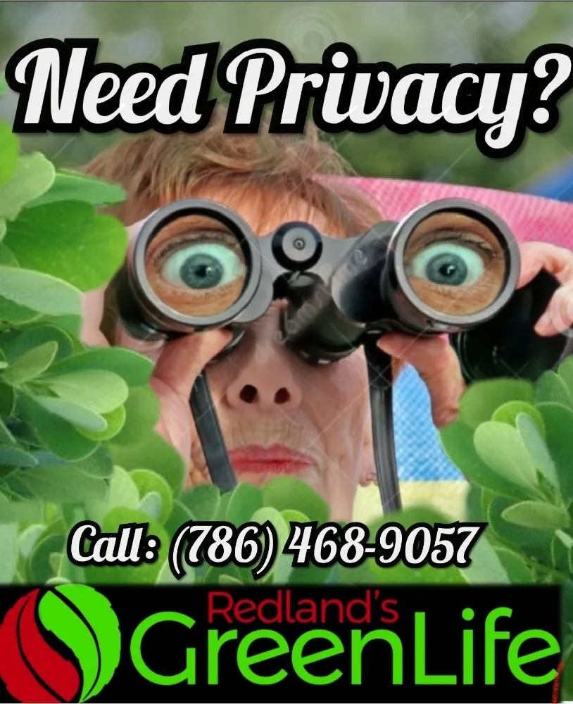 Top-rated yard cleanup service for beautiful yards across Miami, FL - Redland's GreenLife