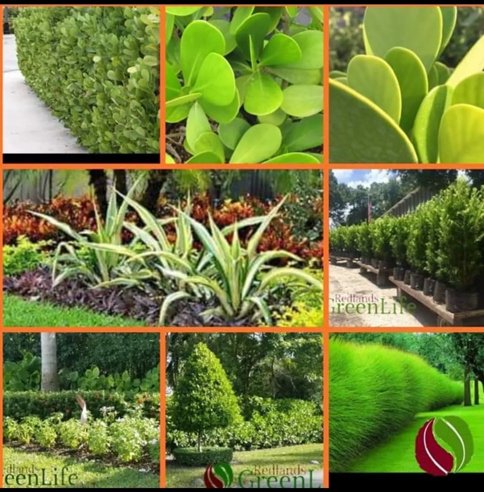 Local yard maintenance near you across Miami, FL - Redland's GreenLife