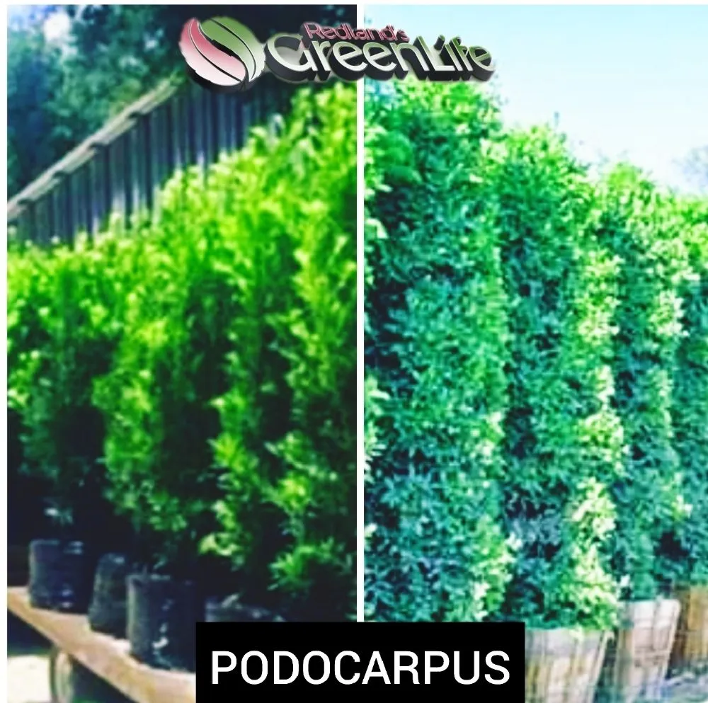 Expert outdoor landscaping experts serving Miami, FL - Redland's GreenLife