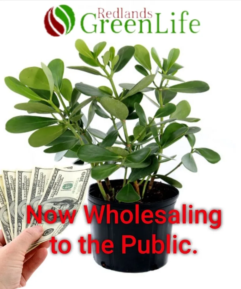 Expert landscape design for residential properties in Miami, FL by Redland's GreenLife