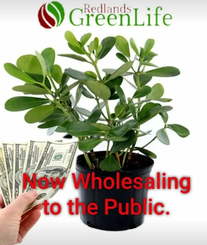 Affordable outdoor landscaping in Miami, FL - Redland's GreenLife