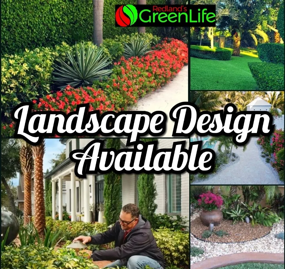 Professional yard cleanup service near you across Miami, FL - Redland's GreenLife
