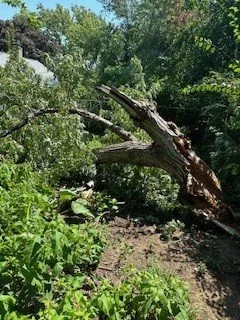 Professional outdoor landscaping in Omaha, NE - Redleaf Landscaping