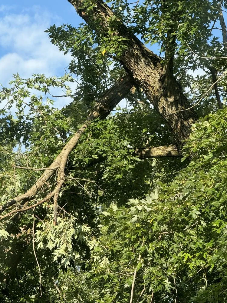 Professional garden landscaping with custom design in Omaha, NE by Redleaf Landscaping