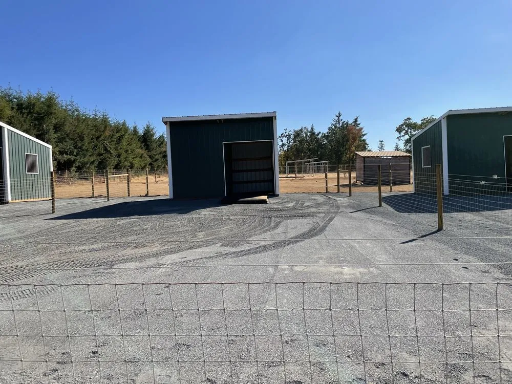 Expert landscape design in Silverton, OR by Redline Industries