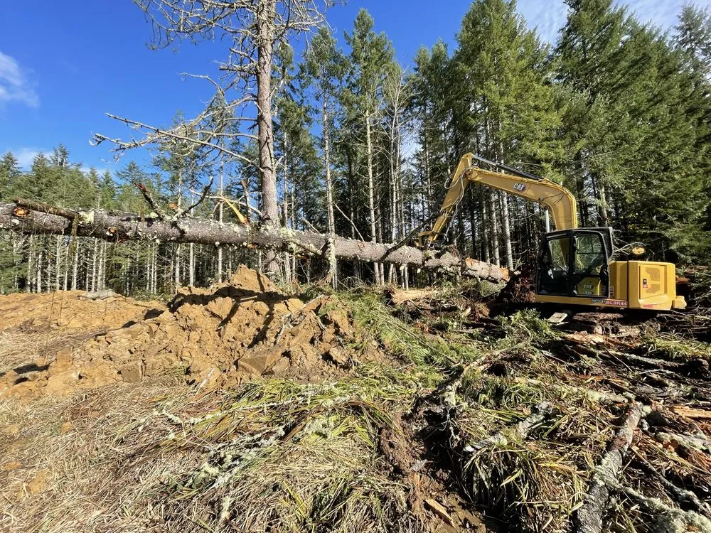 Top-rated yard cleanup service in Silverton, OR - Redline Industries