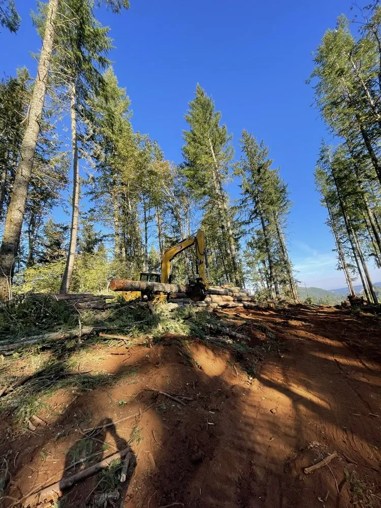 Top-rated landscape installation for outdoor upgrades across Silverton, OR - Redline Industries