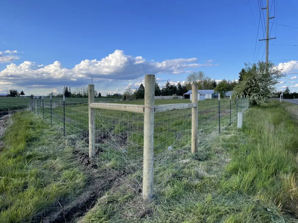 Professional yard maintenance in Silverton, OR - Redline Industries