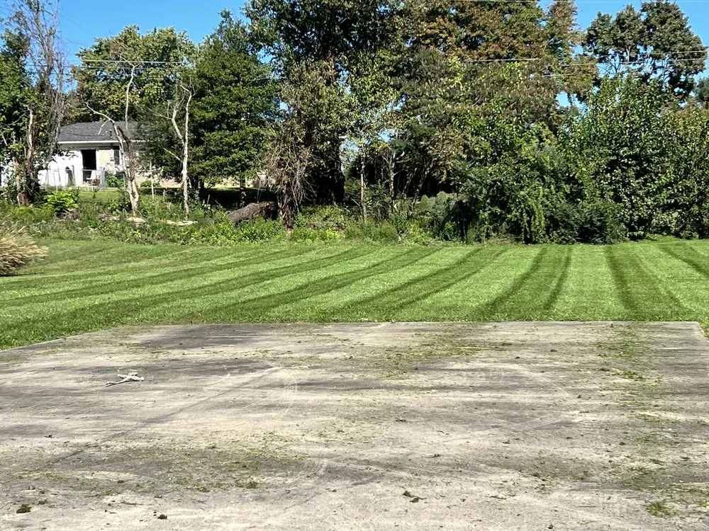 Expert yard maintenance for year-round maintenance in Berea, KY by RedLine Landscaping and Snow Removal