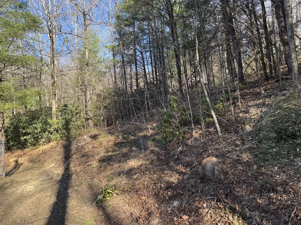 Reliable lawn mowing service experts serving Tellico Plains, TN - Redline Lawn & Excavating
