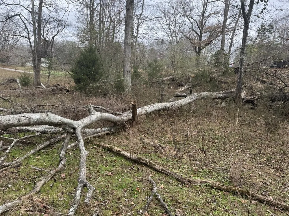 Affordable outdoor landscaping for year-round maintenance across Tellico Plains, TN - Redline Lawn & Excavating