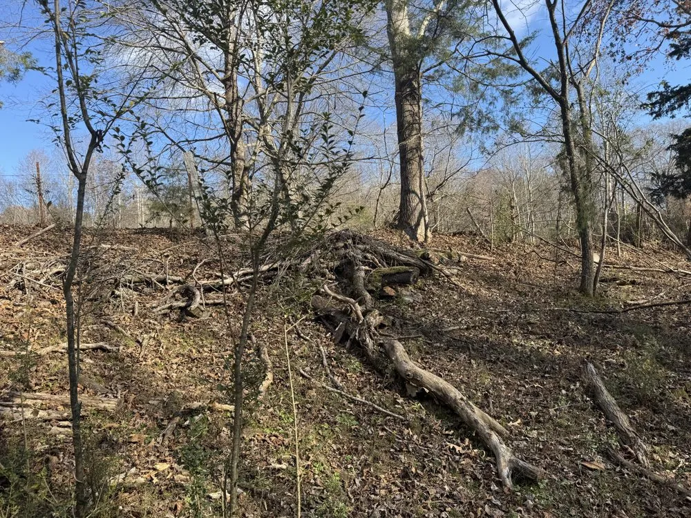 Expert yard cleanup service in Tellico Plains, TN by Redline Lawn & Excavating