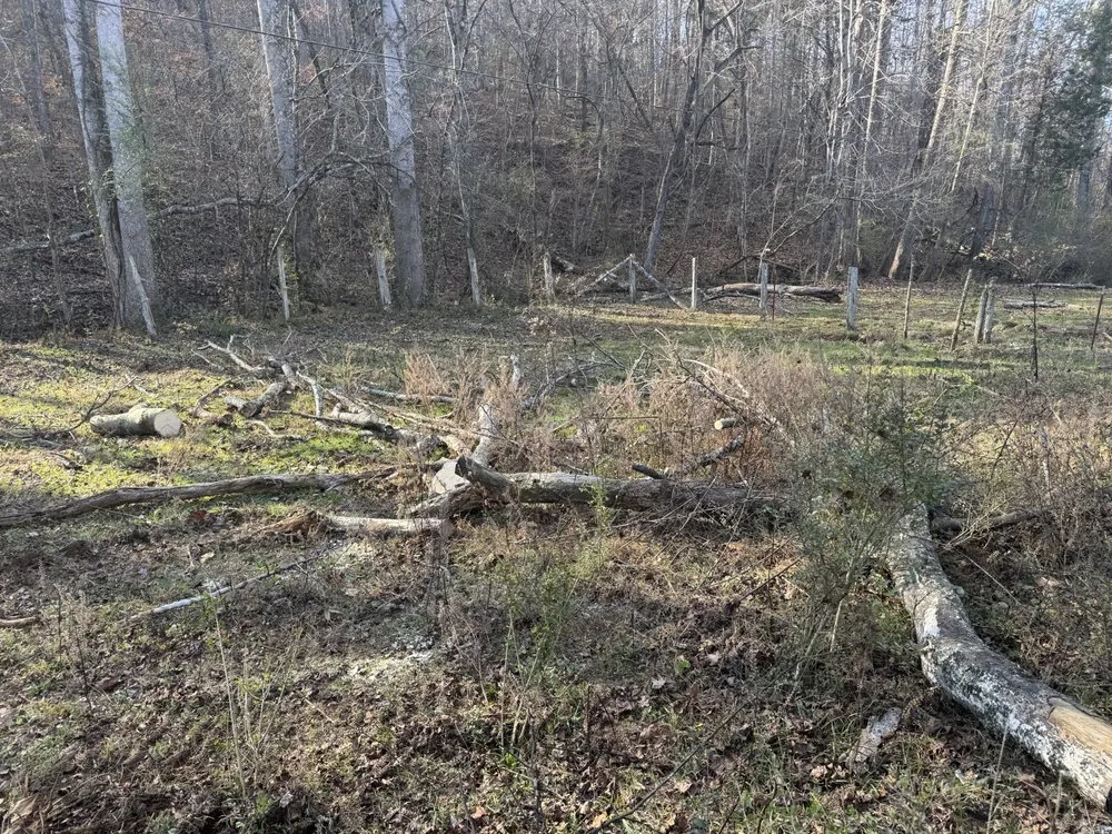 Expert outdoor landscaping for beautiful yards across Tellico Plains, TN - Redline Lawn & Excavating