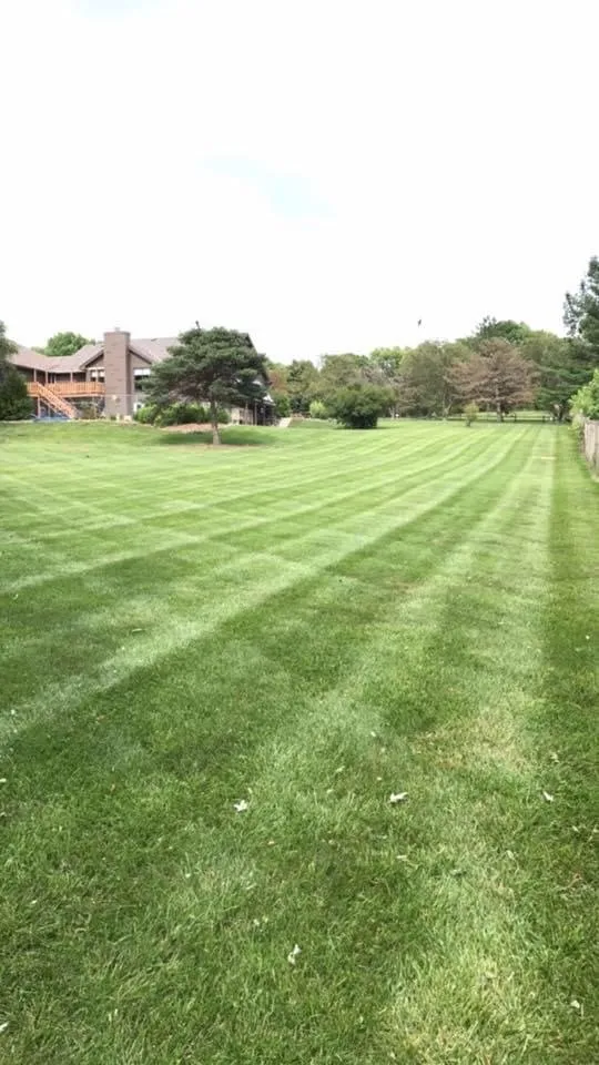 Professional lawn care service for homes across Papillion, NE - RedLine Lawns