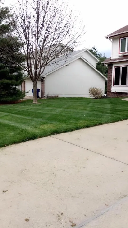 Affordable yard maintenance in Papillion, NE by RedLine Lawns