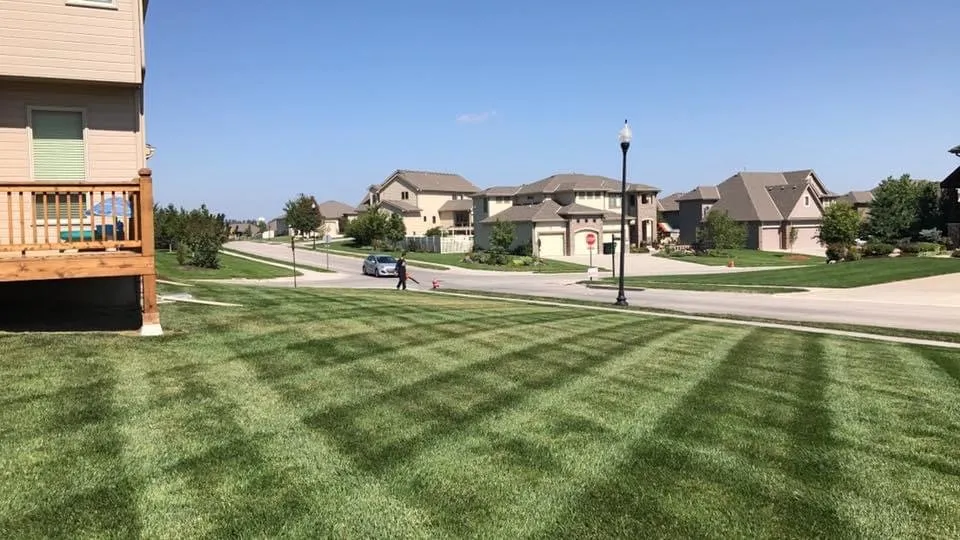 Affordable lawn care service near you in Papillion, NE by RedLine Lawns