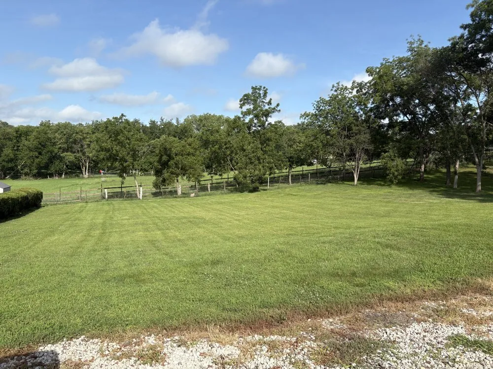 Affordable yard maintenance in Papillion, NE by RedLine Lawns