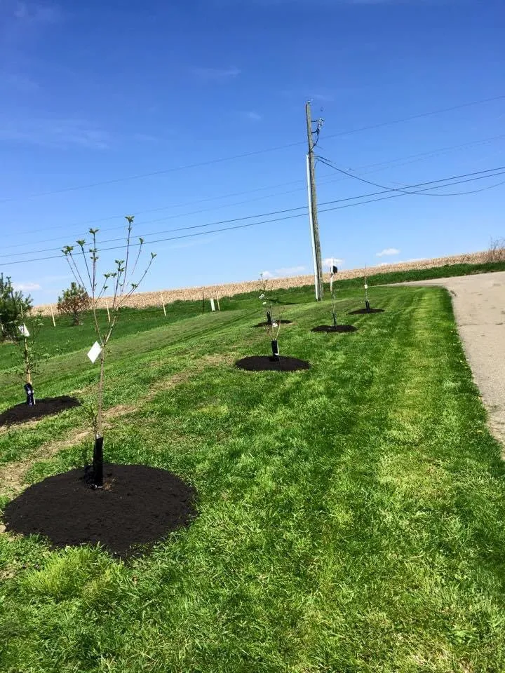 Reliable garden landscaping experts serving Newark, OH - Redman’s Nursery and Landscaping