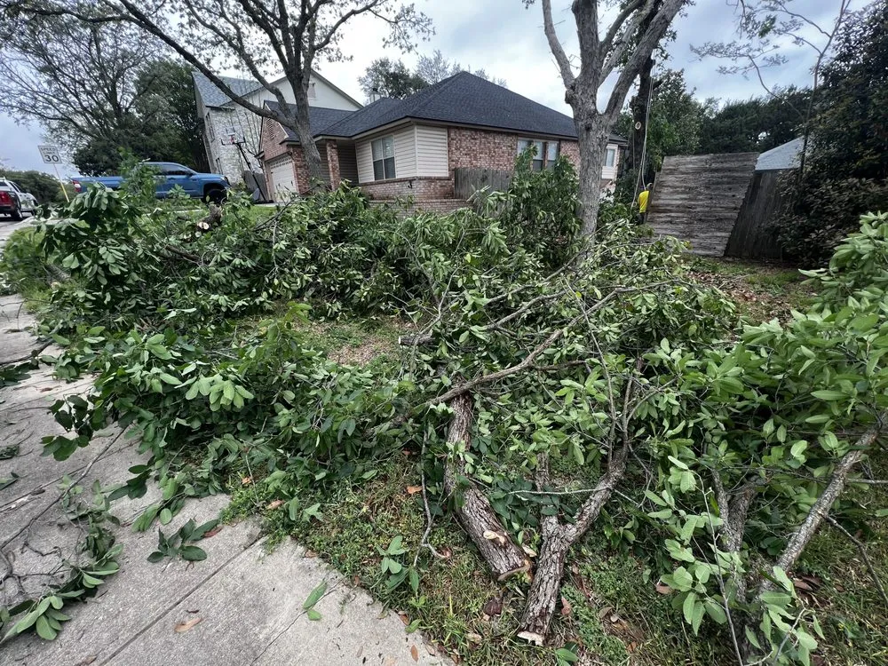 Reliable lawn mowing service in San Antonio, TX by Redmill Landscapes