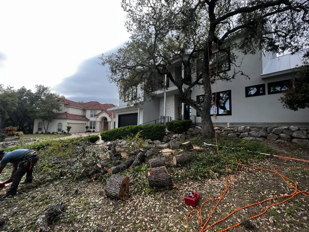 Affordable lawn care service experts serving San Antonio, TX - Redmill Landscapes