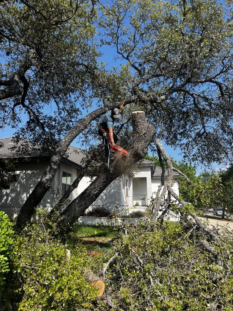 Top-rated landscaping services in San Antonio, TX - Redmill Landscapes