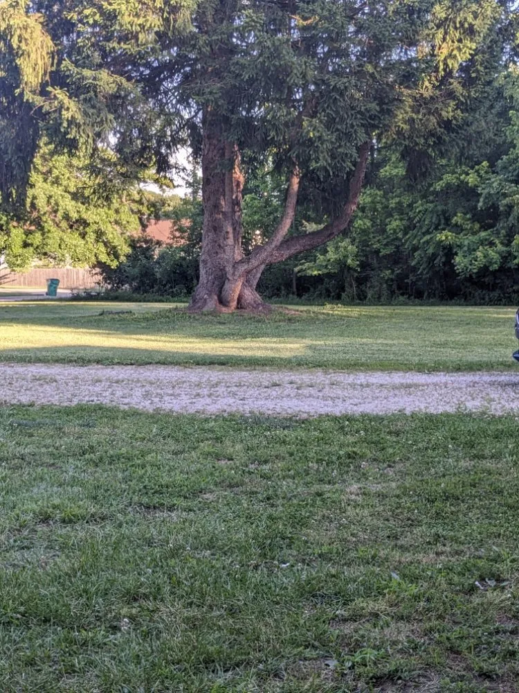 Custom lawn care service for homes across Pacific, MO - Redneck Landscaping Solutions