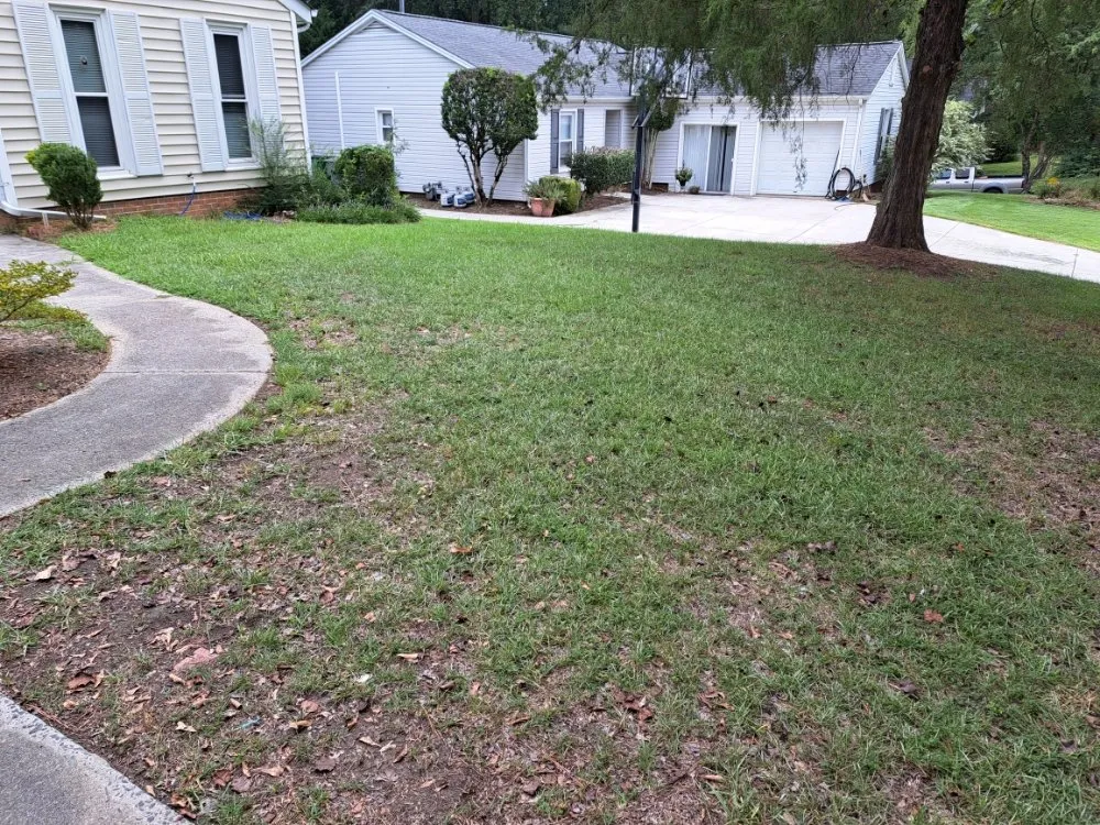 Top-rated landscape design experts serving Salisbury, NC - Redneck lawn Care