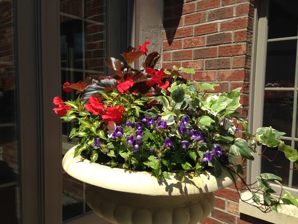 Affordable residential landscaping experts serving Minneapolis, MN - Redpath Gardens