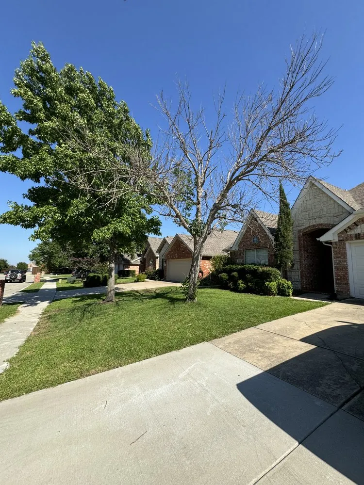 Trusted outdoor landscaping experts serving Corinth, TX - Red's Commercial Services