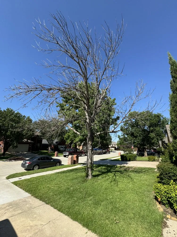 Custom landscape installation in Corinth, TX - Red's Commercial Services