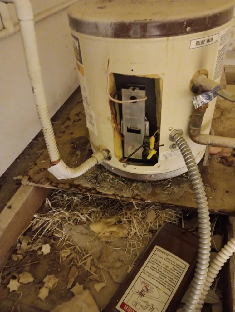 Custom lawn mowing service in Redding, CA by Reds Handymen