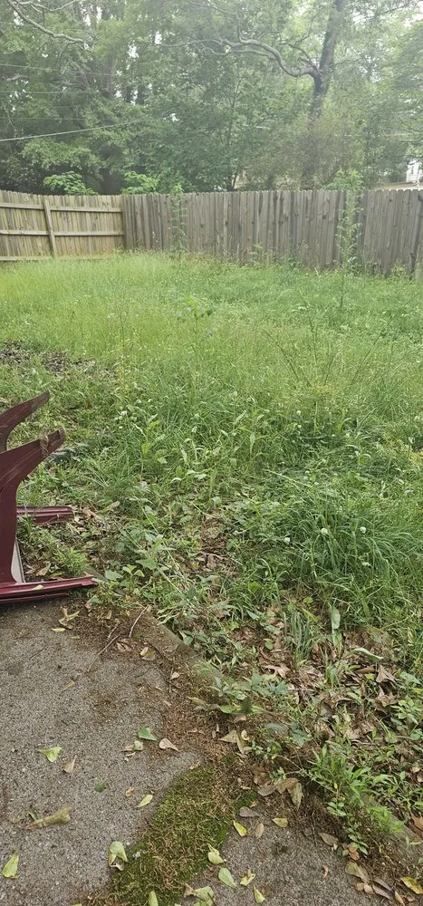 Top-rated yard cleanup service in College Park, GA - Red's Landscaping