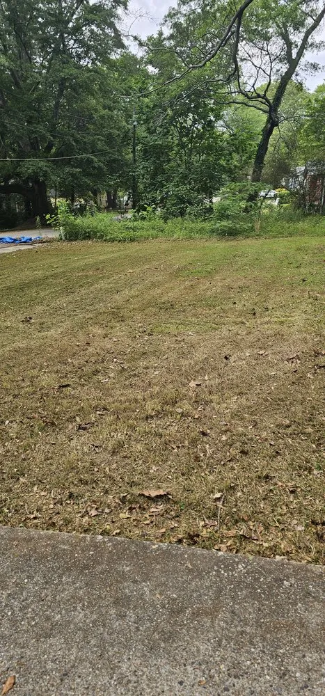 Trusted landscaping services for beautiful yards across College Park, GA - Red's Landscaping