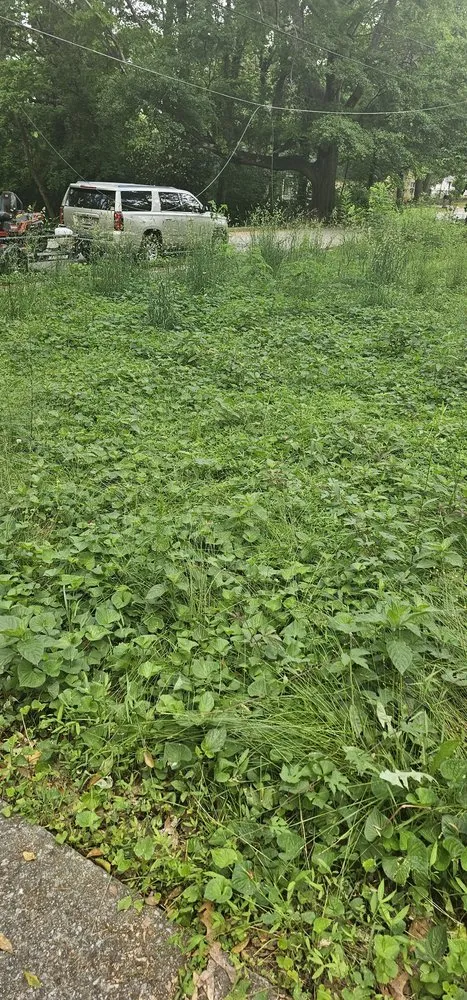 Top-rated outdoor landscaping for outdoor upgrades across College Park, GA - Red's Landscaping